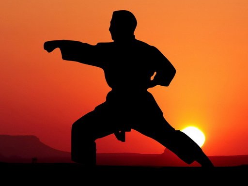 Karate Sunset Warriors Free Game